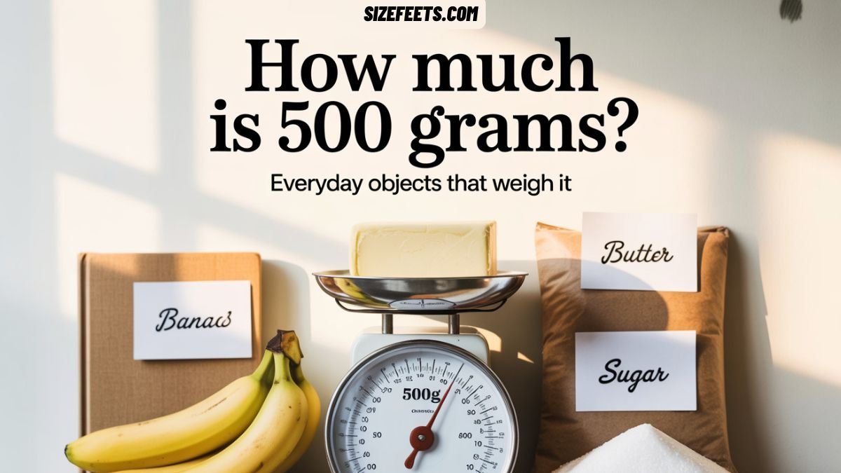 How Much Is 500 Grams? Everyday Objects That Weigh It